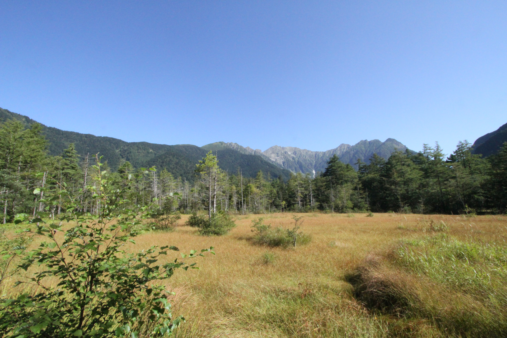 秋の田代湿原