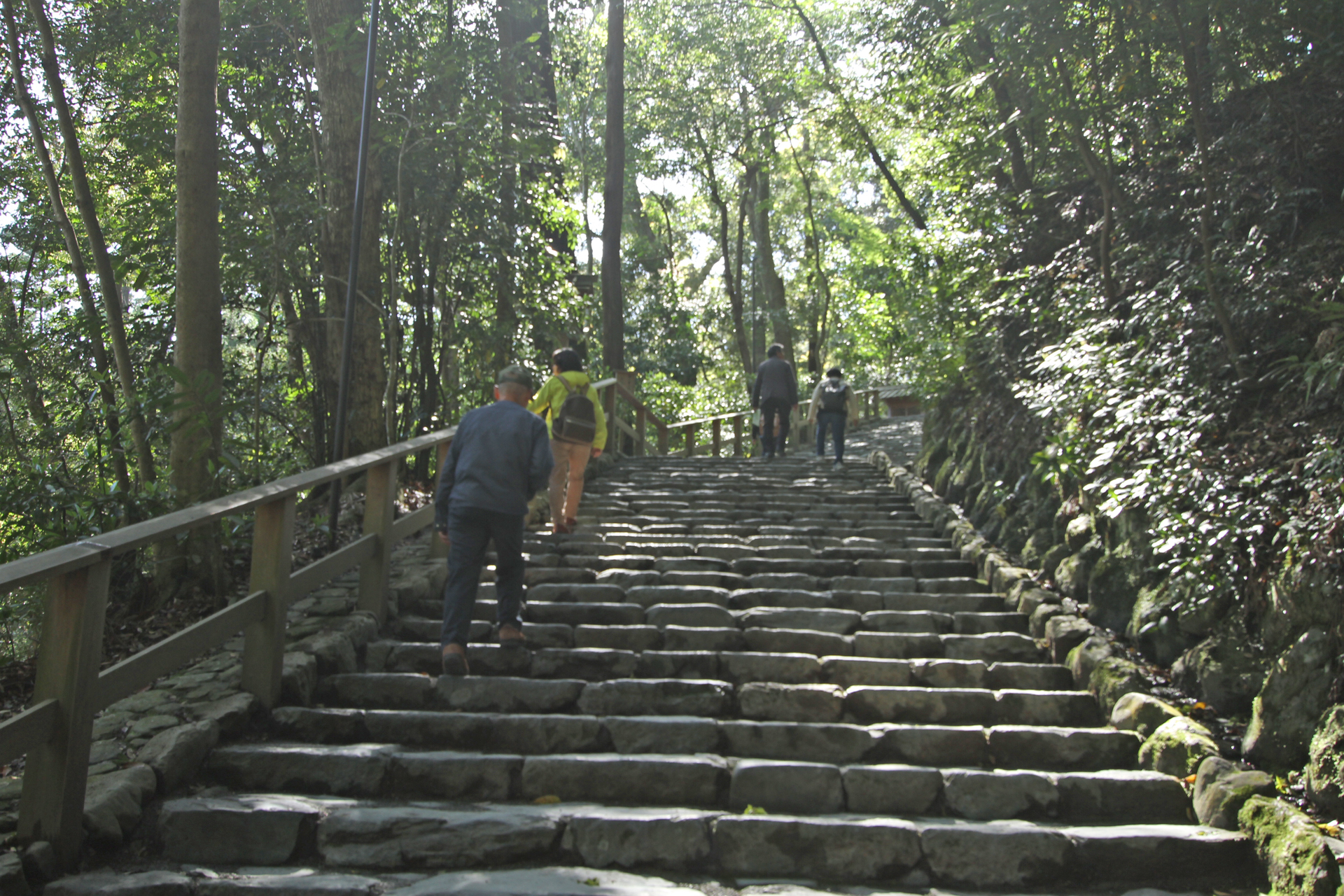 伊勢神宮外宮多賀宮参道