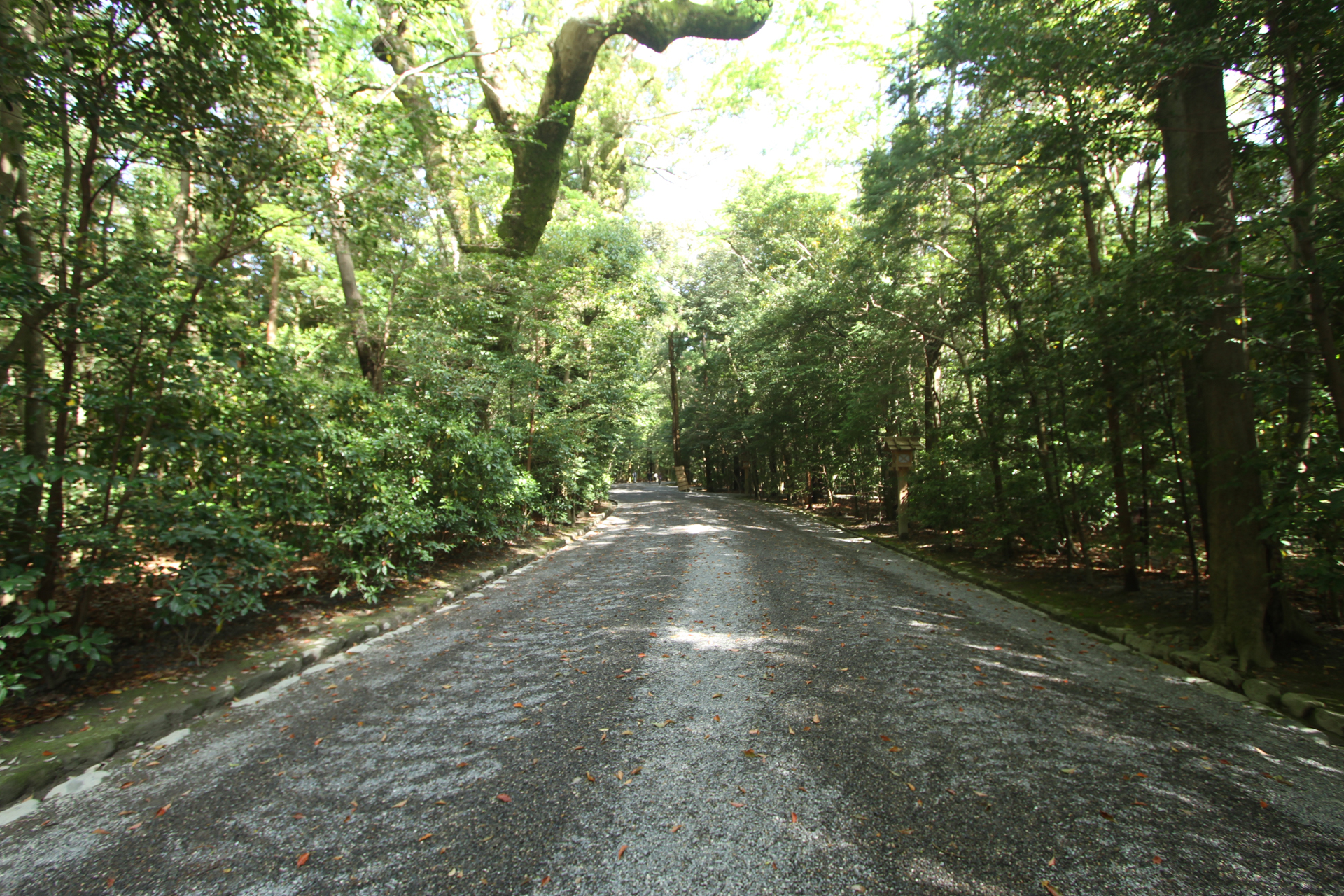 伊勢神宮外宮参道の風景-1