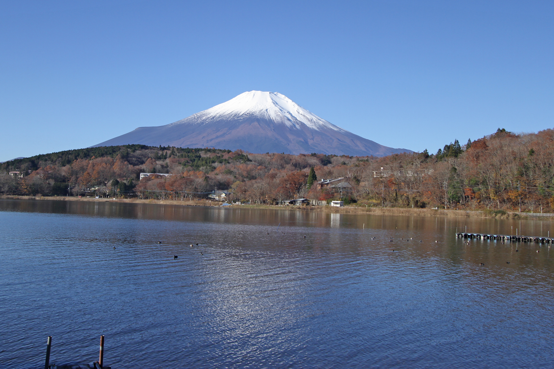 山中湖から見た富士山1