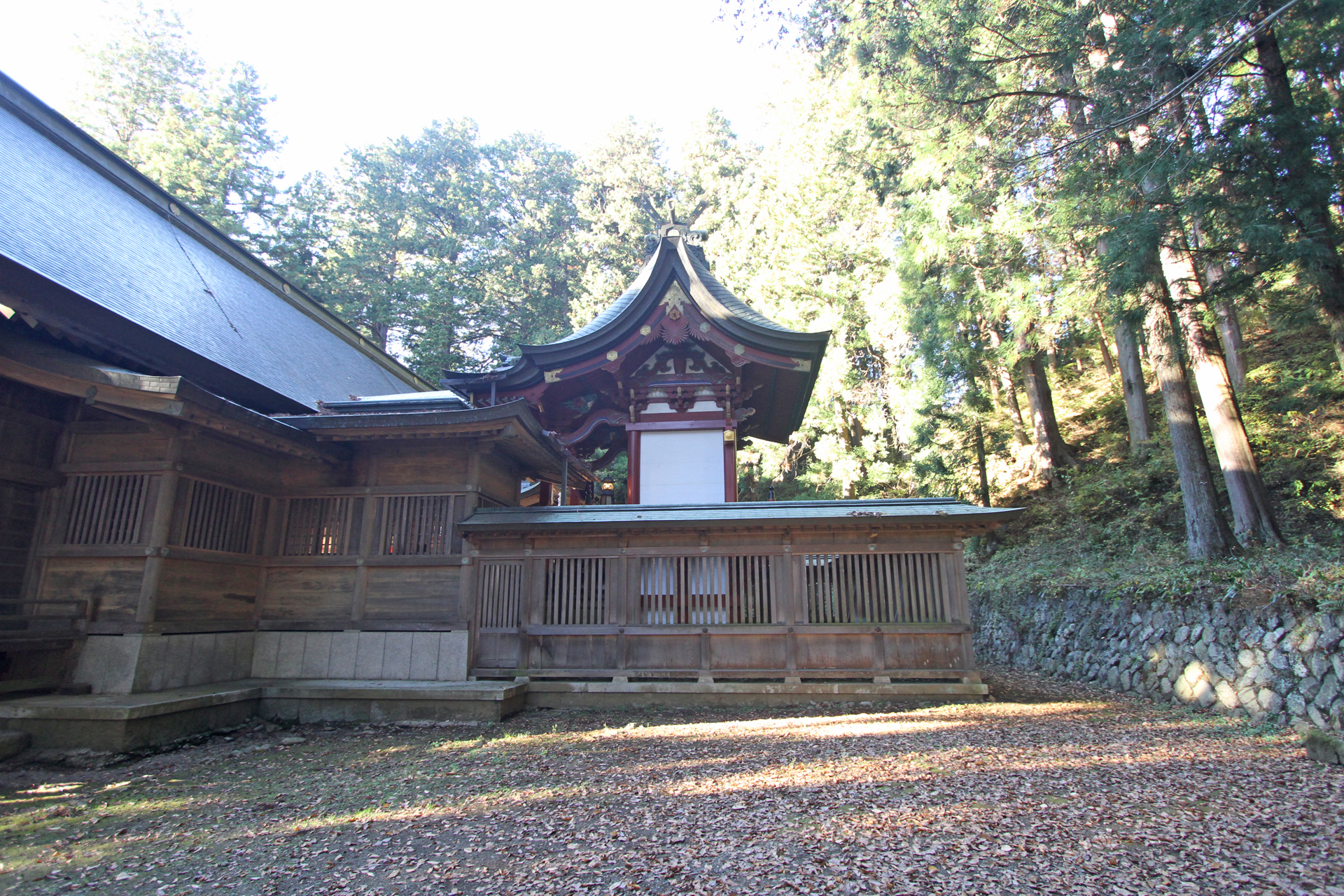 河口浅間神社社殿横