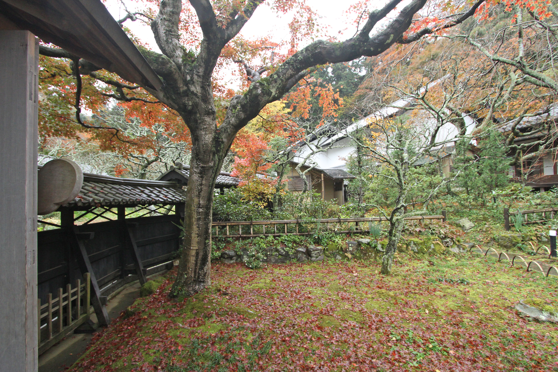 東慶寺風景