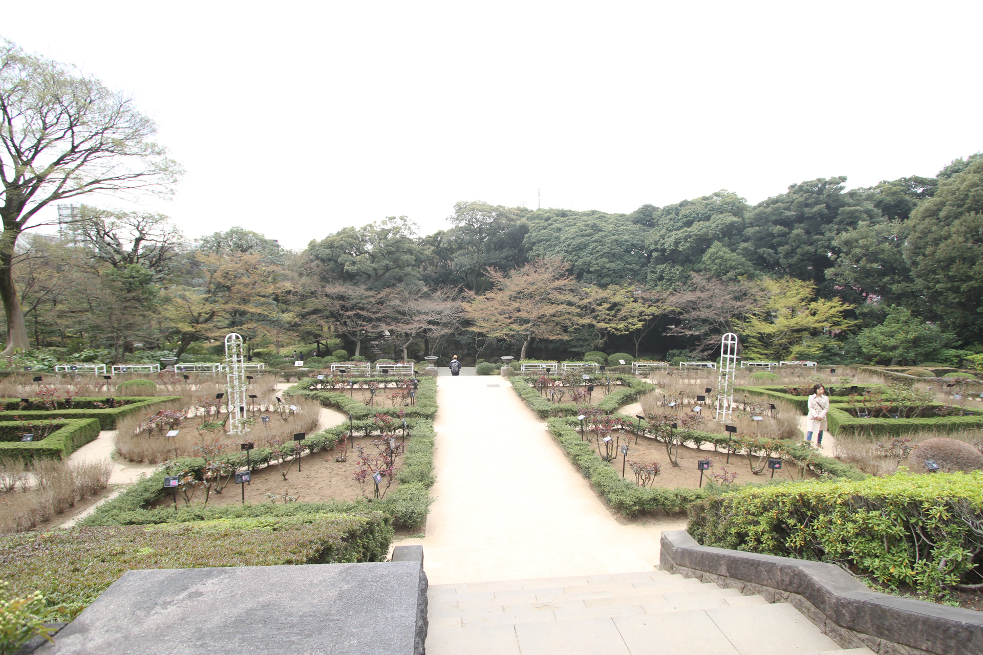 旧古河庭園西洋庭園