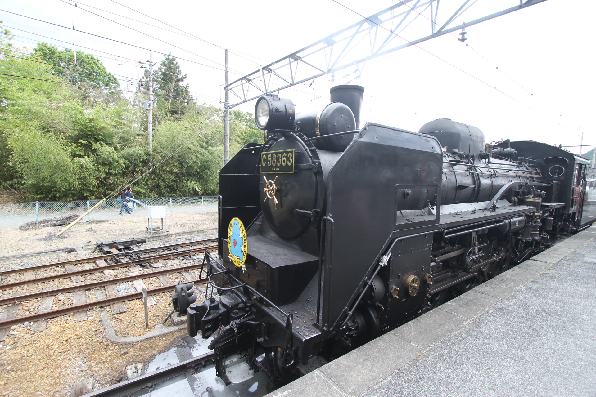 パレオエクスプレス三峰口駅2