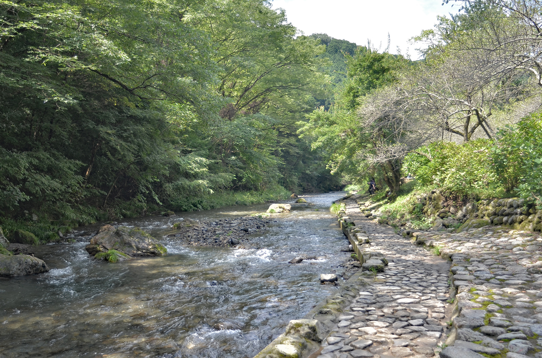 徳雲院養沢川