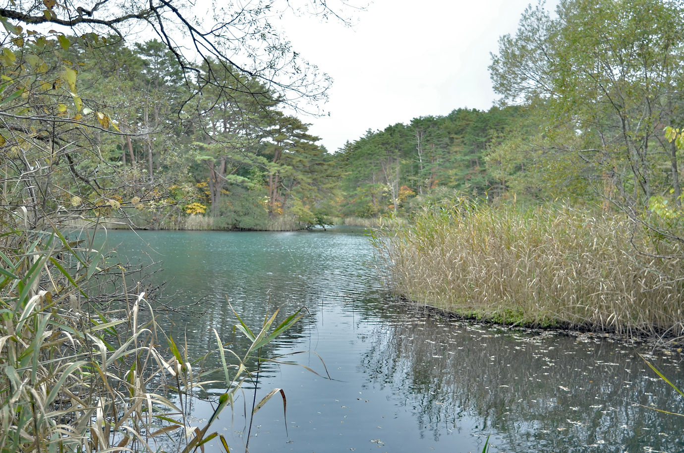 五色沼毘沙門沼八