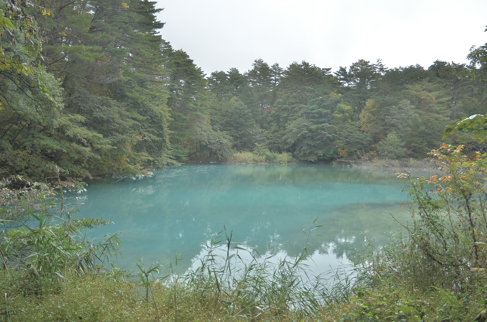 五色沼青沼